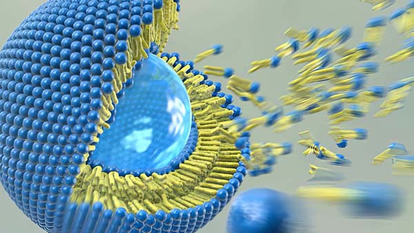 Animation Phospholipide | 3D Animation | Partikelanimation | Motion Graphics | Compositing