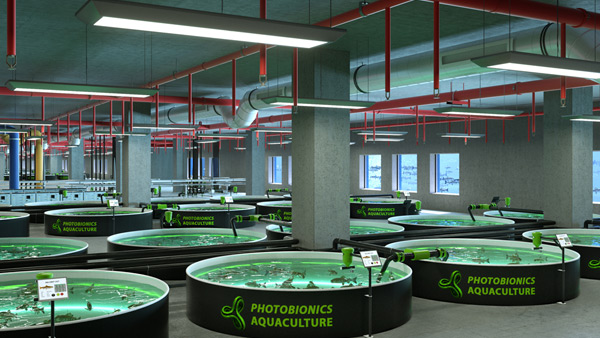 Architekturvisualisierung: Lachs-Fischzucht | Interior