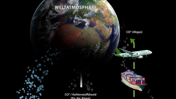 Infografik: Diagramm Bioalgen Kraftstoff | Modelling, Texturierung, Beleuchtung & Rendering | Komposition